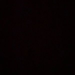 Meet your Posher, Ella